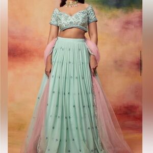 Elegant Mint Green Embroidered Lehenga dress set